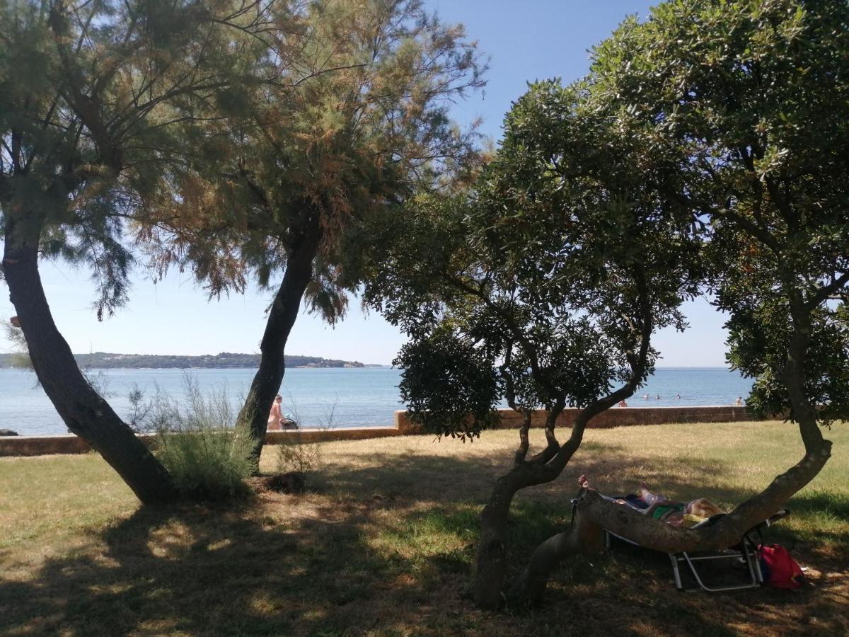 Apartment Vera, 80 M From The Sea Novigrad (Istria) Exterior foto