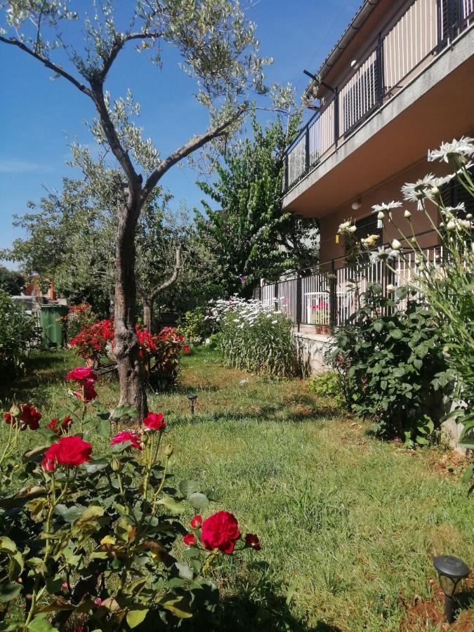 Apartment Vera, 80 M From The Sea Novigrad (Istria) Exterior foto